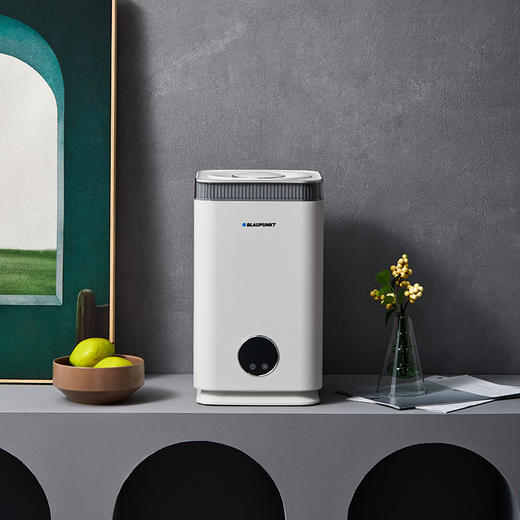 【纯净加湿 温而不燥】蓝宝热蒸发无雾加湿器BP-S10 孕妇婴儿家用 卧室纯净非冷蒸发 空气杀jun大容量 商品图8