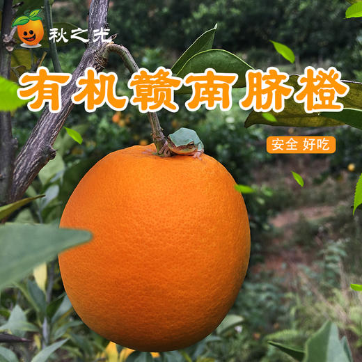 有机赣南脐橙 商品图7