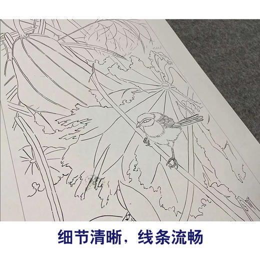 【四条屏】工笔画白描底稿竹子荷花临摹勾线花鸟线稿TP04 商品图4