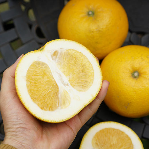 快抱第9年推荐老汪家胡柚 市面买不到的尖货 商品图1
