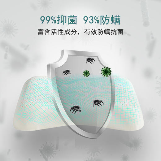 NEPE泰国进口天然乳胶枕 商品图4