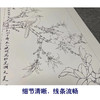 【四条屏】李晓明工笔花鸟画白描底稿《花开四时》临摹勾线花鸟线稿KA31 商品缩略图4