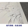 【四条屏】李晓明工笔画白描底稿荷花临摹勾线花鸟线稿选KA33 商品缩略图4