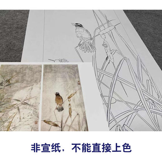 【四条屏】工笔画白描底稿竹子荷花临摹勾线花鸟线稿TP04 商品图2