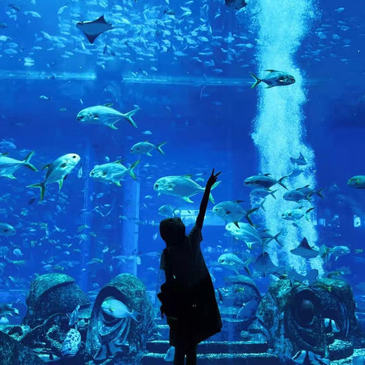 海南三亚·亚特兰蒂斯水世界/水族馆一日游(纯玩2人精致小团+专属司导+一龄接送） 商品图2