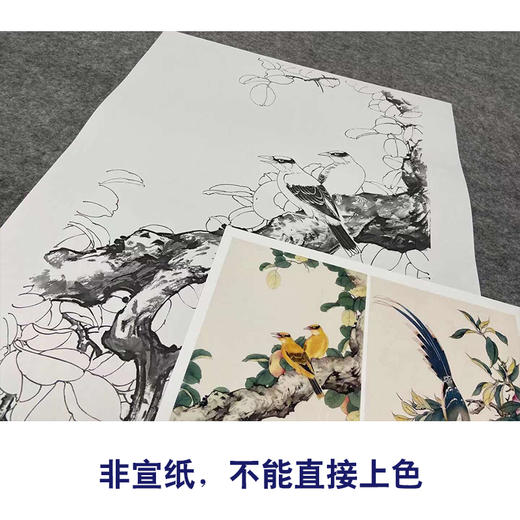 【四条屏】陈军工笔画白描底稿桃树黄鹂临摹勾线花鸟线稿CJ61 商品图2