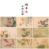 恽寿平没骨工笔花鸟画白描底稿花卉册页小品一套十幅册页尺寸33×50厘米SP93 商品缩略图0