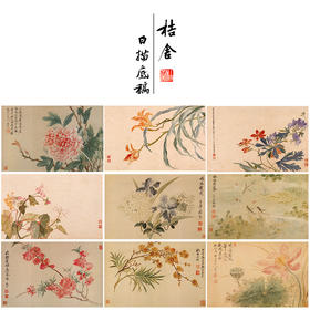 恽寿平没骨工笔花鸟画白描底稿花卉册页小品一套十幅册页尺寸33×50厘米SP93