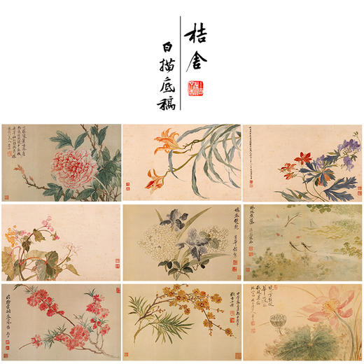 恽寿平没骨工笔花鸟画白描底稿花卉册页小品一套十幅册页尺寸33×50厘米SP93 商品图0