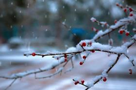 大雪 I 补漏最得力的一个月