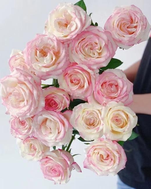 霓裳玫瑰【一曲霓裳尽，天涯同归永不离】简小姐精选 新品 玫瑰霓裳9+1枝(防花损）2件包邮 下单后3天内发货 商品图8