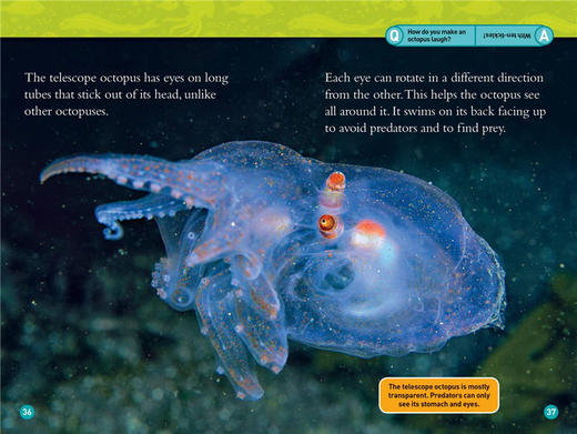 美国国家地理分级阅读 外星海洋动物 英文原版 National Geographic Readers level 3 Alien Ocean Animals 英文版进口书 商品图1