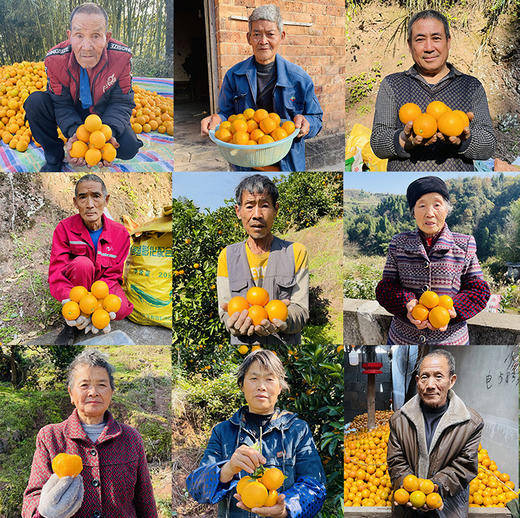【助农】助力湖南冰糖橙走出大山，香甜可口，清爽多汁~ 商品图7