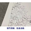 【四条屏】李晓明工笔花鸟画白描稿《富贵天香》牡丹临摹勾线花鸟线稿KF23 商品缩略图4
