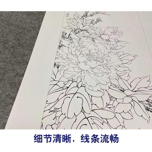 【四条屏】李晓明工笔花鸟画白描稿《富贵天香》牡丹临摹勾线花鸟线稿KF23 商品图4