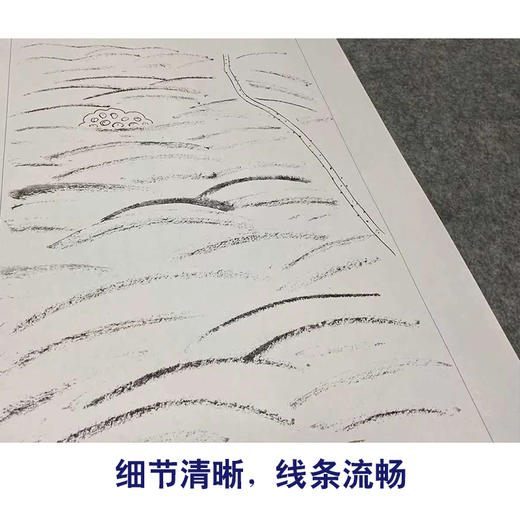 【四条屏】工笔画白描底稿荷花春夏秋冬临摹勾线花鸟线稿TP02 商品图4