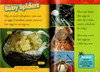 美国国家地理儿童百科分级读物 National Geographic Kids Readers: Predators Collection国家地理儿童分级读物：食肉动物合集 商品缩略图1