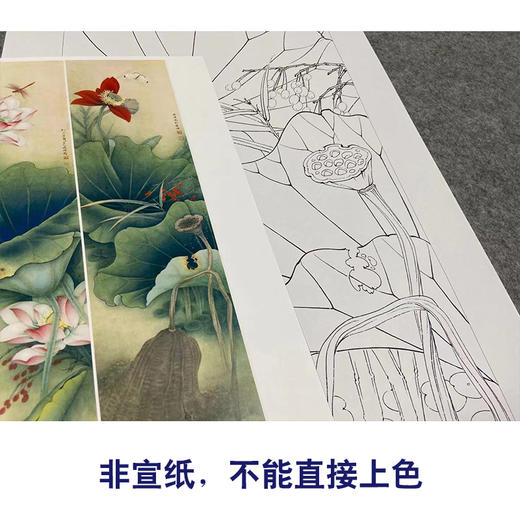 【四条屏】李晓明工笔画白描底稿荷花临摹勾线花鸟线稿选KA33 商品图2