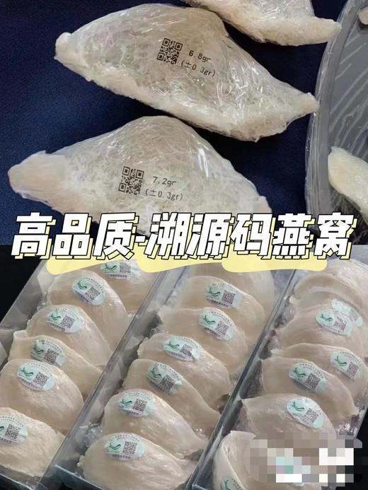 50克 原装马来西亚进口 溯源中大燕盏 商品图1
