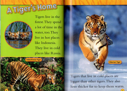 美国国家地理儿童百科分级读物 National Geographic Kids Readers: Predators Collection国家地理儿童分级读物：食肉动物合集 商品图2