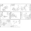 恽寿平没骨工笔花鸟画白描底稿花卉册页小品一套八幅册页尺寸30×40厘米SP94 商品缩略图1
