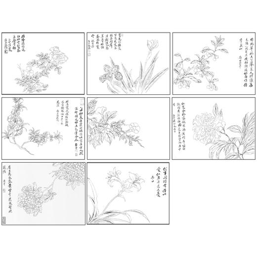 恽寿平没骨工笔花鸟画白描底稿花卉册页小品一套八幅册页尺寸30×40厘米SP94 商品图1