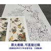 【四条屏】陈军工笔画白描底稿石榴葡萄临摹勾线花鸟线稿CJ67 商品缩略图1