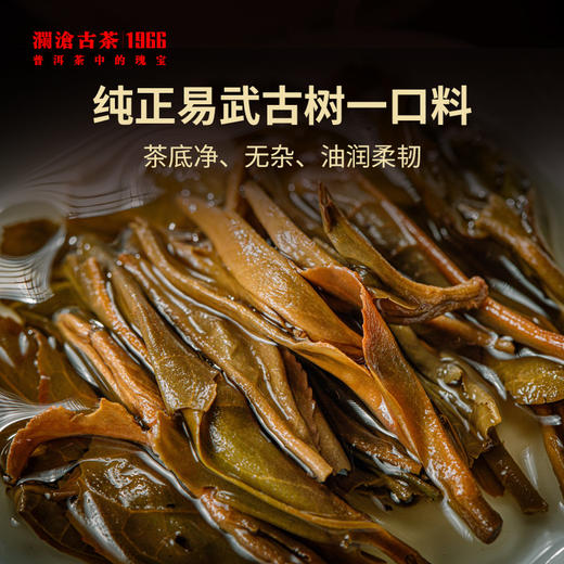 澜沧古茶时光仓老茶2014年易武正山普洱茶生茶云南茶叶盒装347g 商品图3