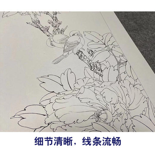 【四条屏】李晓明工笔画白描底稿牡丹临摹勾线花鸟线稿KA34 商品图4