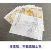 恽寿平没骨工笔花鸟画白描底稿瓯香馆写生小品一套十幅册页尺寸30×37厘米SP90 商品缩略图3