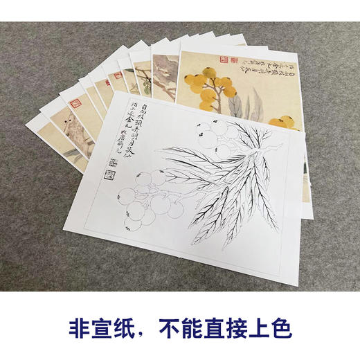 恽寿平没骨工笔花鸟画白描底稿瓯香馆写生小品一套十幅册页尺寸30×37厘米SP90 商品图3