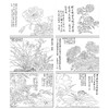 恽寿平没骨工笔花鸟画白描底稿花卉册页小品一套六幅册页尺寸31×40厘米SP95 商品缩略图1