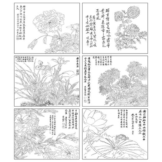 恽寿平没骨工笔花鸟画白描底稿花卉册页小品一套六幅册页尺寸31×40厘米SP95 商品图1