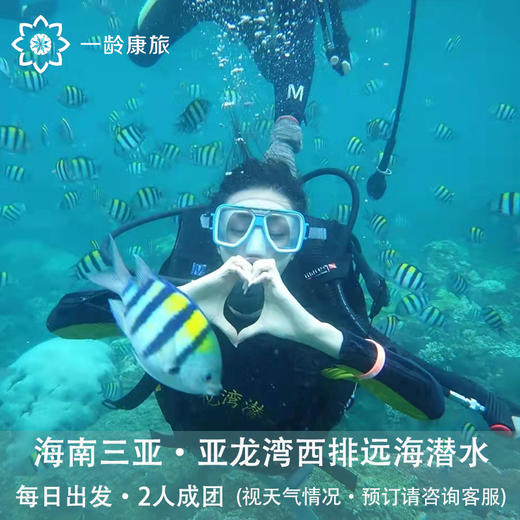 海南三亚·亚龙湾西排远海潜水一日游(纯玩2人精致小团+专属司导+一龄接送） 商品图1