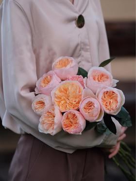 预售！朱丽叶玫瑰【我不介意你是荆棘，倘若你是玫瑰】简小姐精选 国产奥斯汀花园玫瑰 温柔奶油橙色 朱丽叶玫瑰 10枝 发货时间不定（有花就发）2束包邮