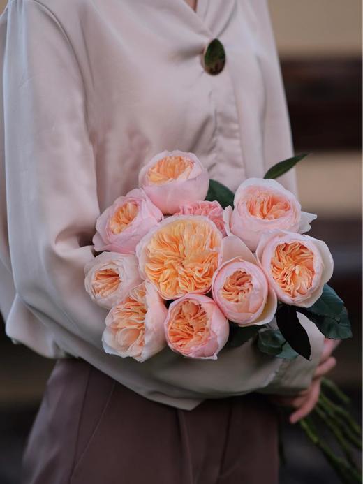 预售！朱丽叶玫瑰【我不介意你是荆棘，倘若你是玫瑰】简小姐精选 国产奥斯汀花园玫瑰 温柔奶油橙色 朱丽叶玫瑰 10枝 发货时间不定（有花就发）2束包邮 商品图0