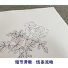 恽寿平没骨工笔花鸟画白描底稿花卉册页小品一套八幅册页尺寸30×40厘米SP94 商品缩略图3