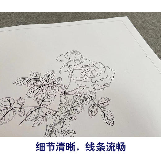 恽寿平没骨工笔花鸟画白描底稿花卉册页小品一套八幅册页尺寸30×40厘米SP94 商品图3