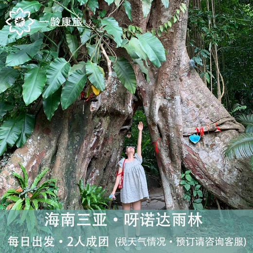 海南三亚·呀诺达雨林天然氧吧一日游(纯玩2人精致小团+专属司导+一龄接送） 商品图1