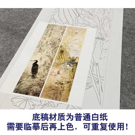 【四条屏】工笔画白描底稿竹子荷花临摹勾线花鸟线稿TP04 商品图3