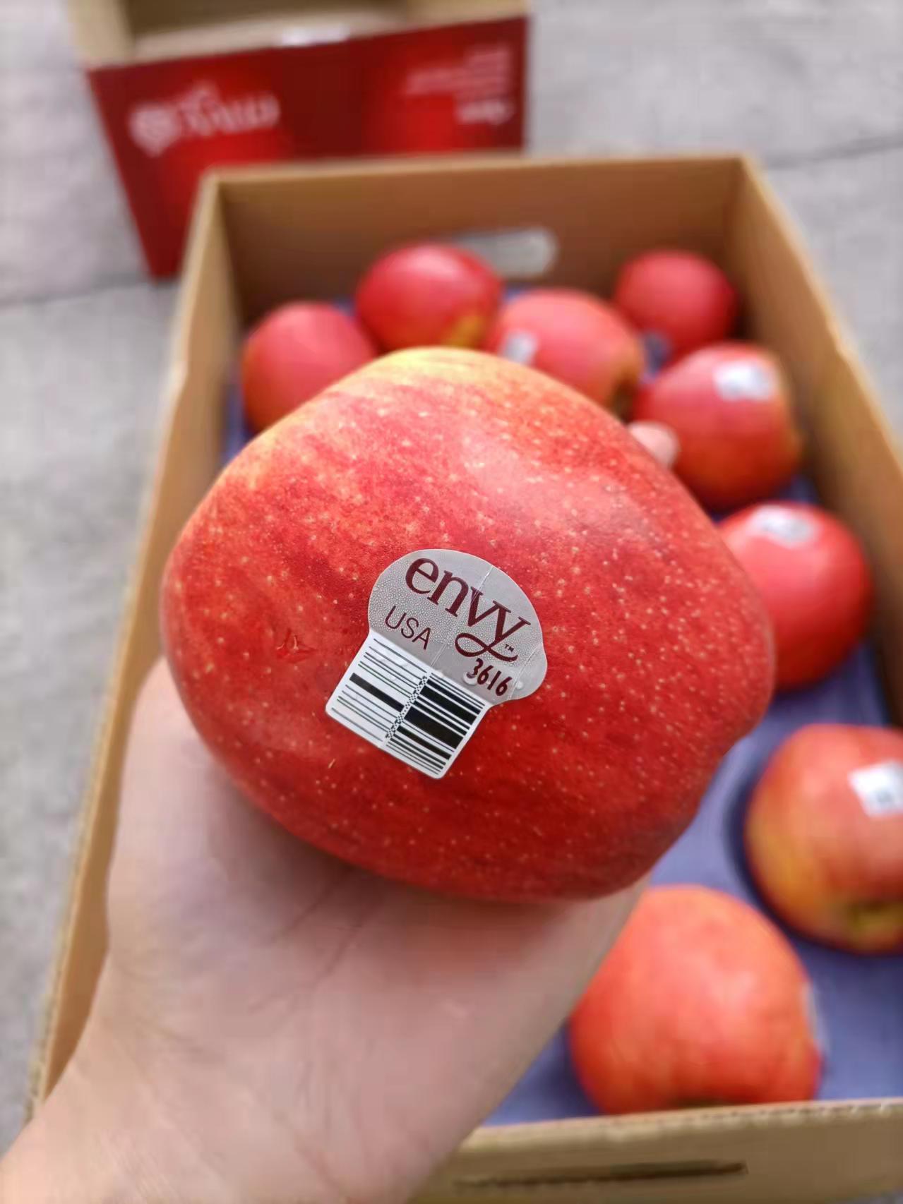 美国envy爱妃苹果苹果含有天然果胶vc微量元素锌营养丰富果色浓艳红润
