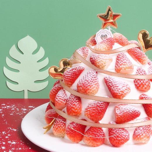 莓好星愿 商品图2