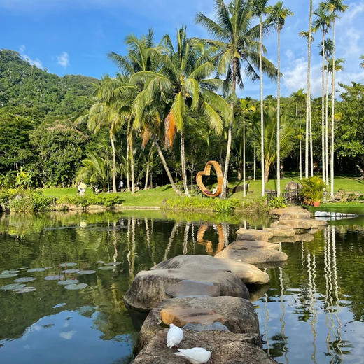 海南三亚·呀诺达雨林天然氧吧一日游(纯玩2人精致小团+专属司导+一龄接送） 商品图3