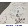 【四条屏】李晓明工笔画白描稿《福禄喜寿》牡丹临摹勾线花鸟线稿KA28 商品缩略图4