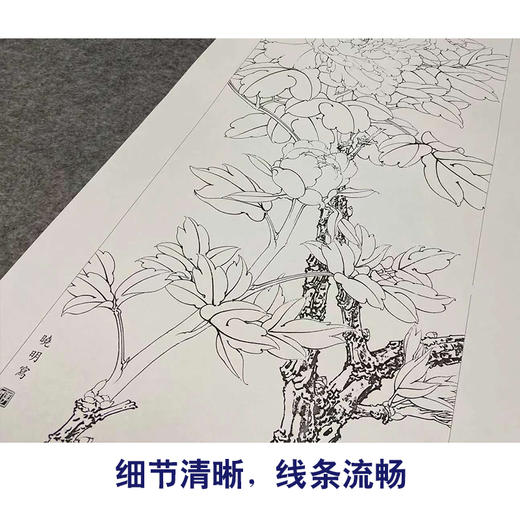 【四条屏】李晓明工笔画白描稿《福禄喜寿》牡丹临摹勾线花鸟线稿KA28 商品图4