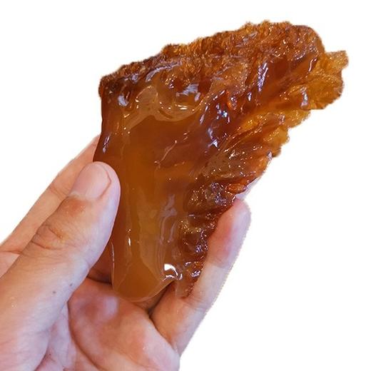 野生中角海蜇头2.4千克 商品图1