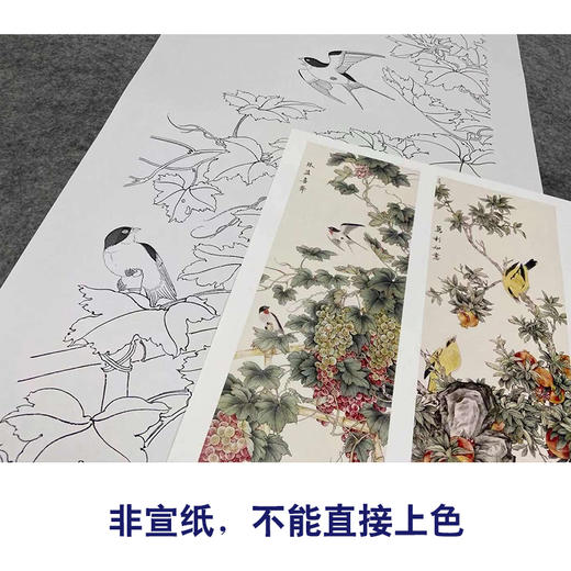 【四条屏】陈军工笔画白描底稿石榴葡萄临摹勾线花鸟线稿CJ67 商品图2