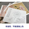 恽寿平没骨工笔花鸟画白描底稿花卉册页小品一套六幅册页尺寸31×40厘米SP95 商品缩略图3