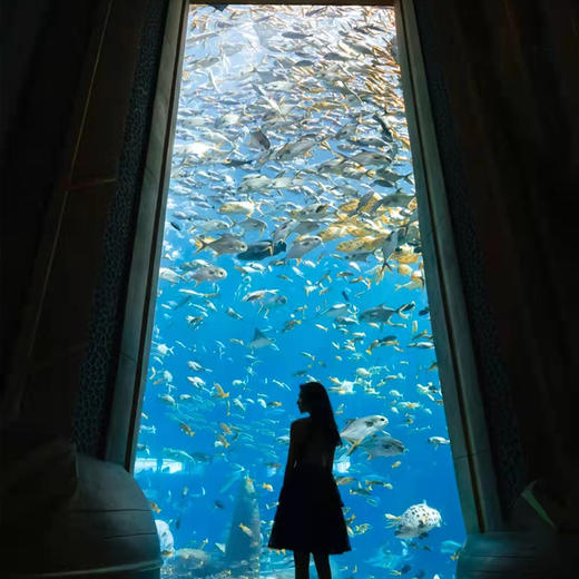 海南三亚·亚特兰蒂斯水世界/水族馆一日游(纯玩2人精致小团+专属司导+一龄接送） 商品图1