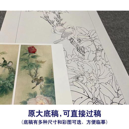 【四条屏】李晓明工笔画白描底稿牡丹临摹勾线花鸟线稿KA34 商品图1